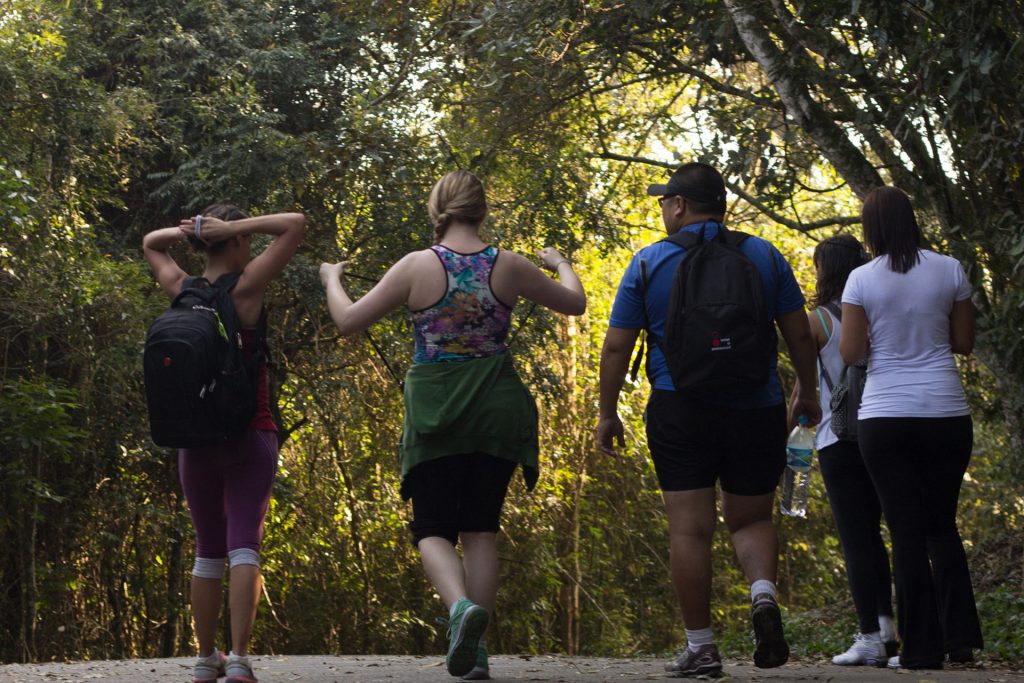 four people walking in a park with back packs